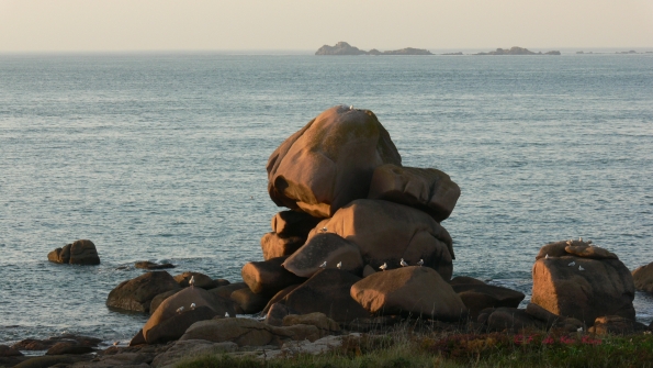 Crepuscule a Ploumanach (6)